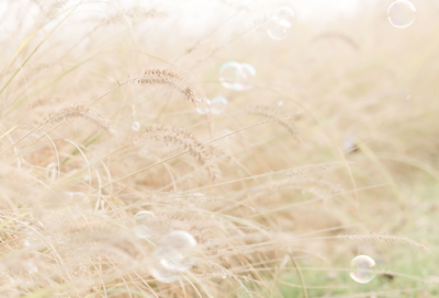 ​清新优雅的qq网名(共167个)