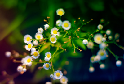 帅气男生精选网名(精选166个)