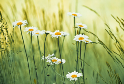 男生好听好看的文艺网名(精选164个)