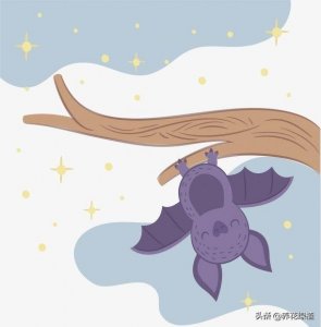 ​蝙蝠飞进家里预示什么(蝙蝠飞进家里预示什么意思)