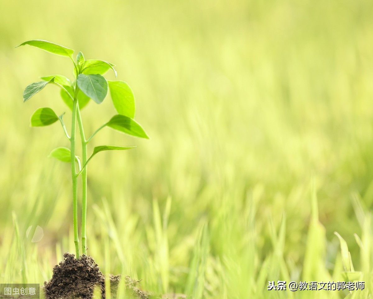 形容天气的四字词语（描写四季天气的经典成语推荐）