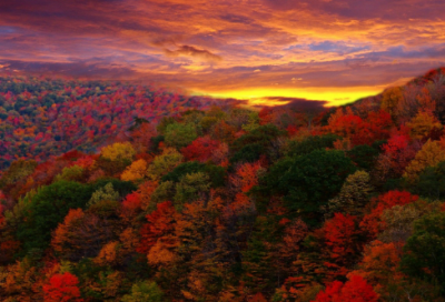 三个字带小字的昵称(优选160个)