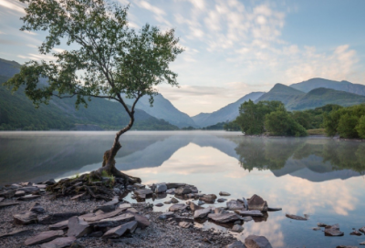 ​天真女孩qq网名(优选144个)