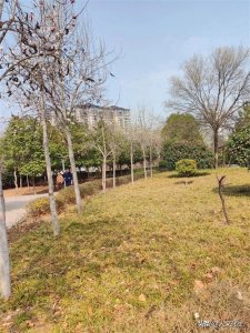 ​春天里最美的十首古诗。