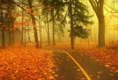 ​带手持的网名大全女