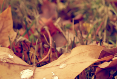 ​中间带生字的网名大全女生