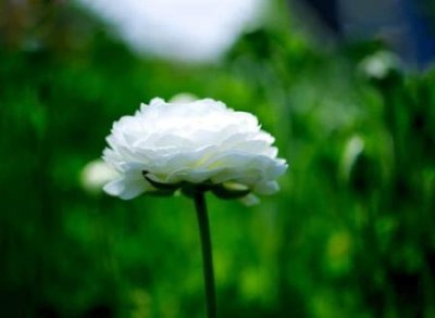 ​好听又有内涵的群名，经典流行qq群名字