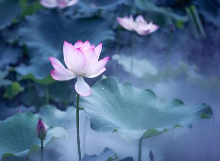 山海经里唯美的名字