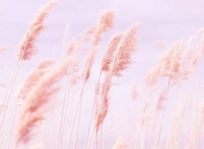 ​空间名称大全，最新好听的空间网名