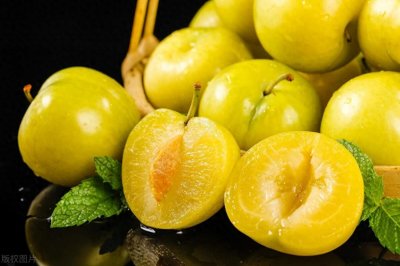 ​揭秘：几种新优高效李子品种