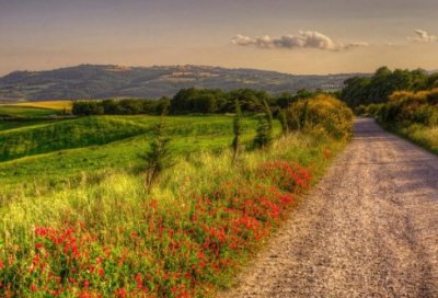 ​赞美老师的现代诗42句