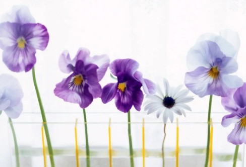 1710841499665400.png image.png