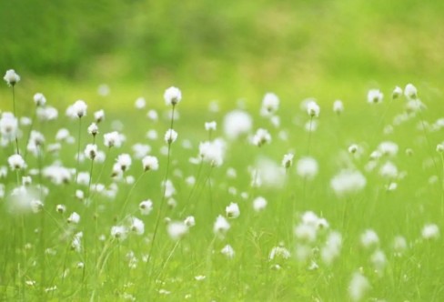 1710842172102424.png image.png