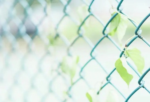 1710851606380487.png image.png