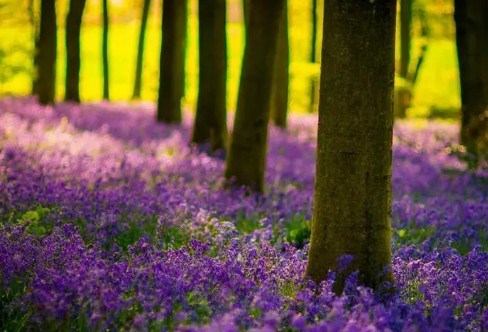 1710852111729948.png image.png