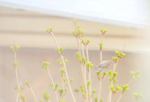 1710852447560316.png image.png