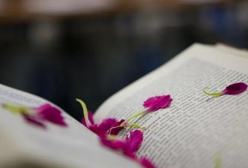 1710852615601627.png image.png