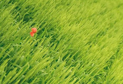 1710852279472359.png image.png