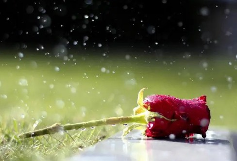 1710852783134375.png image.png