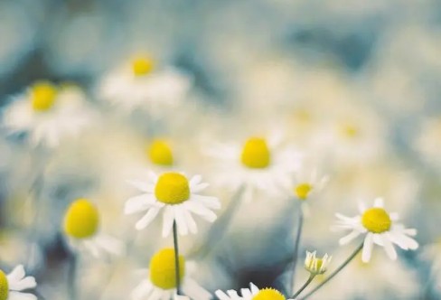 1710853119722417.png image.png