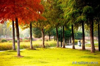 ​诗语原创：秋赋