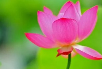 ​关于人生哲理的名言警句