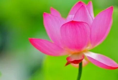 1710193227106882.png image.png