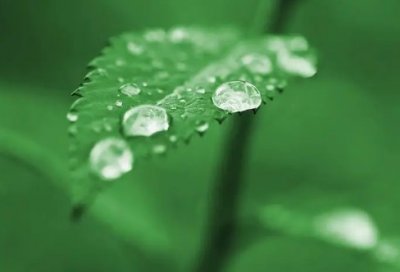 ​有关宽容教育名言警句