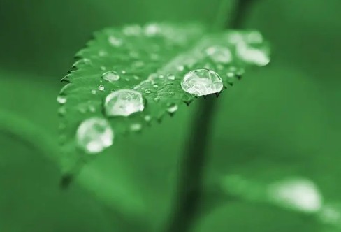 1710197062107807.png image.png