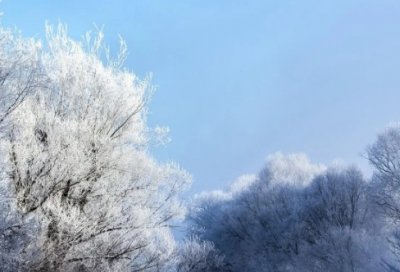 ​网上创业名言