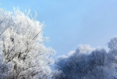 1710197229594311.png image.png