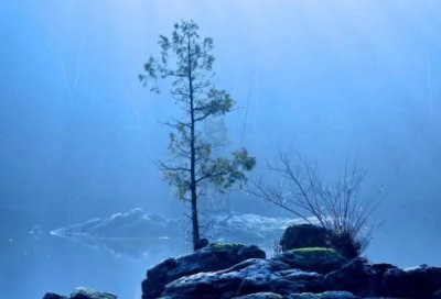 ​古文名言警句