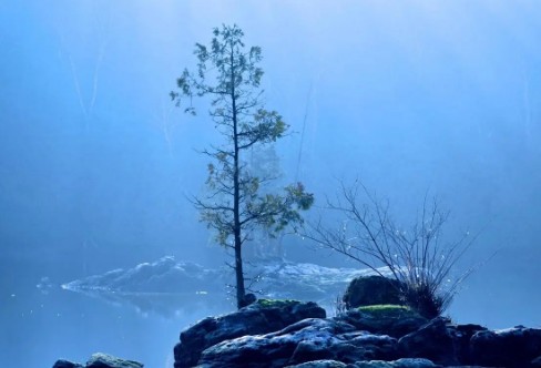 1710198230297091.png image.png