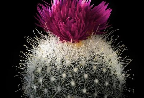 1710198730459794.png image.png