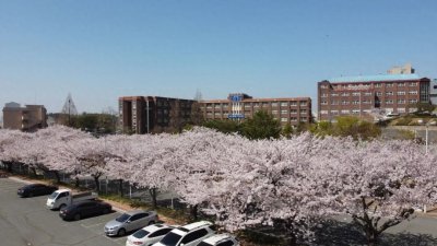 ​韩国留学都是混文凭？让我们用事实来说话！