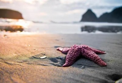 ​清明节的名言