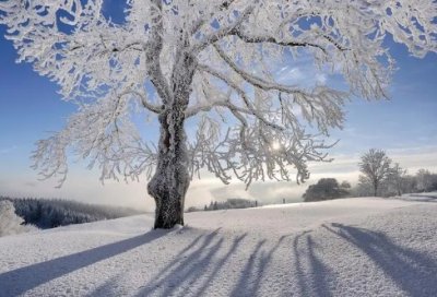 ​巴尔扎克名言警句