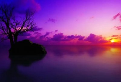 ​爱情名人名言精选