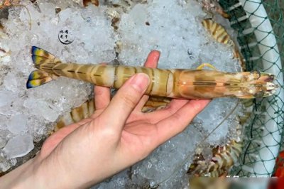 ​保存大虾：最忌直接扔冰箱，虾贩子教你一招，冻一年仍鲜嫩有弹性