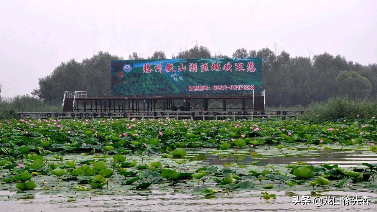 滕州市区常住人口有多少（滕州属于哪个市级行政区）