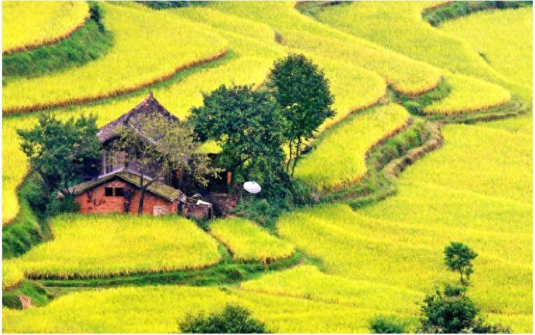 魅力国茶之都:贵州都匀