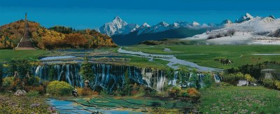 ​净土精灵——金钱松