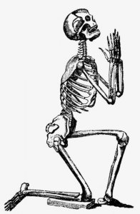 ​骨科基础知识——你知道多少之＂骨细胞＂