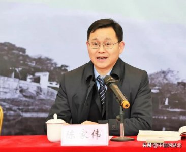 ​陈家伟当选荆门市人民政府市长（图丨简历）