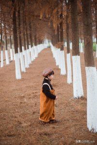 ​孩子的第一个“叛逆期”：了解2岁左右的行为挑战