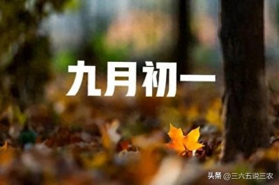 ​明日九月初一不一般，老话“九月怕初一”，到底怕什么？答案来了