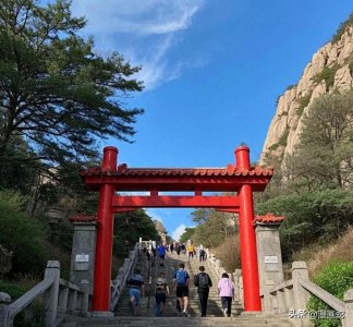 ​夜爬泰山必看！3点出发5点见日出，这份血泪攻略让你避开99%的坑