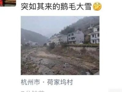 ​又又又又下雪了！浙江多地飘雪，网友：快乐又回来啦