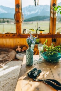 ​探讨城市生活的优势和劣势