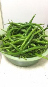 ​超下饭的酱油腌辣椒，做法简单易学